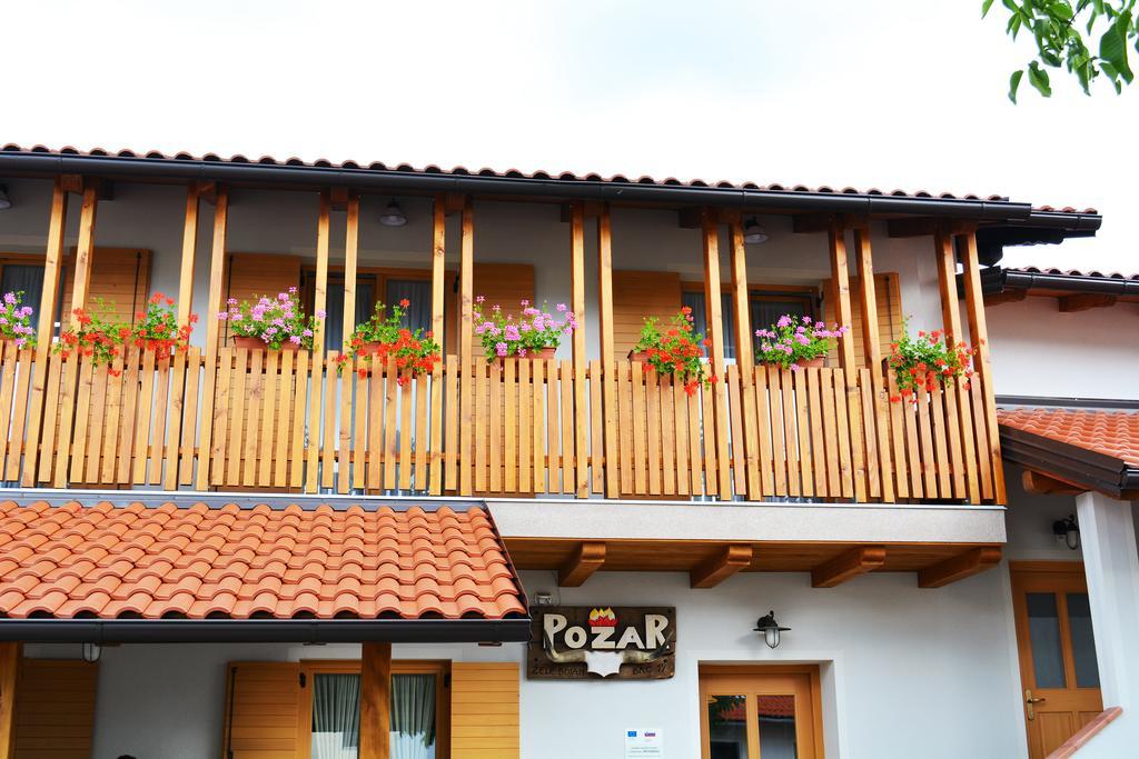 Villa Turisticna Kmetija Pri Pozarju à Knezak Extérieur photo